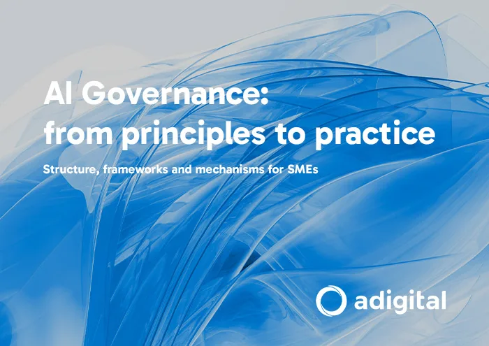 AI Governance: from principles to practice